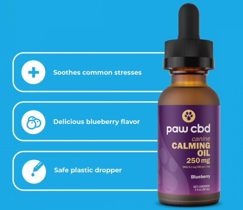 Paw CBD for Review: Price, Quality, & Results - Dot Trading